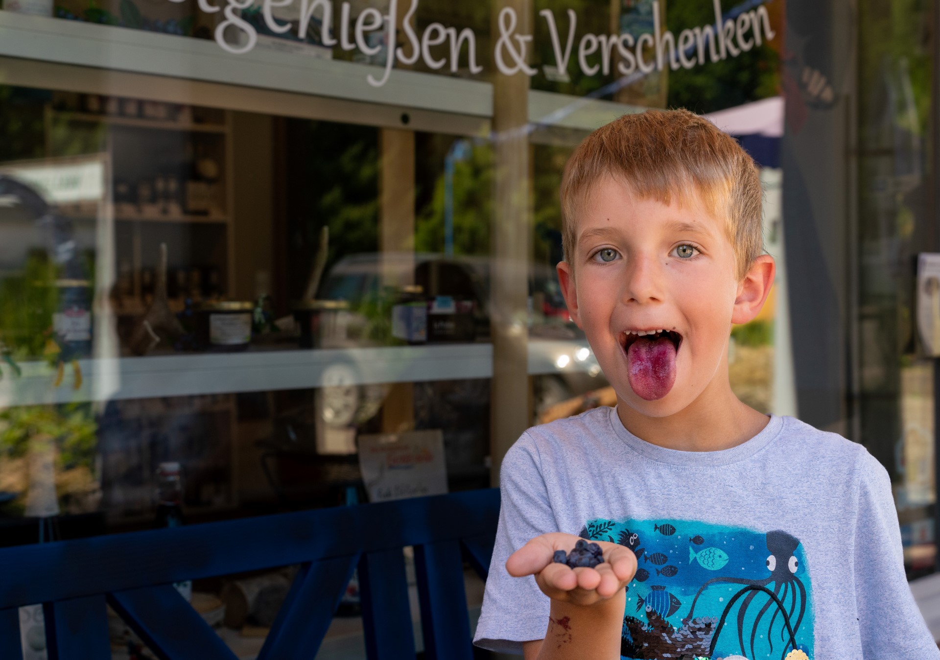 Wilde Heidelbeeren haben extra viel vom blauen Farbstoff. Foto: TMBW | Weise Wilde Heidelbeeren haben extra viel vom blauen Farbstoff. Foto: TMBW | Weise