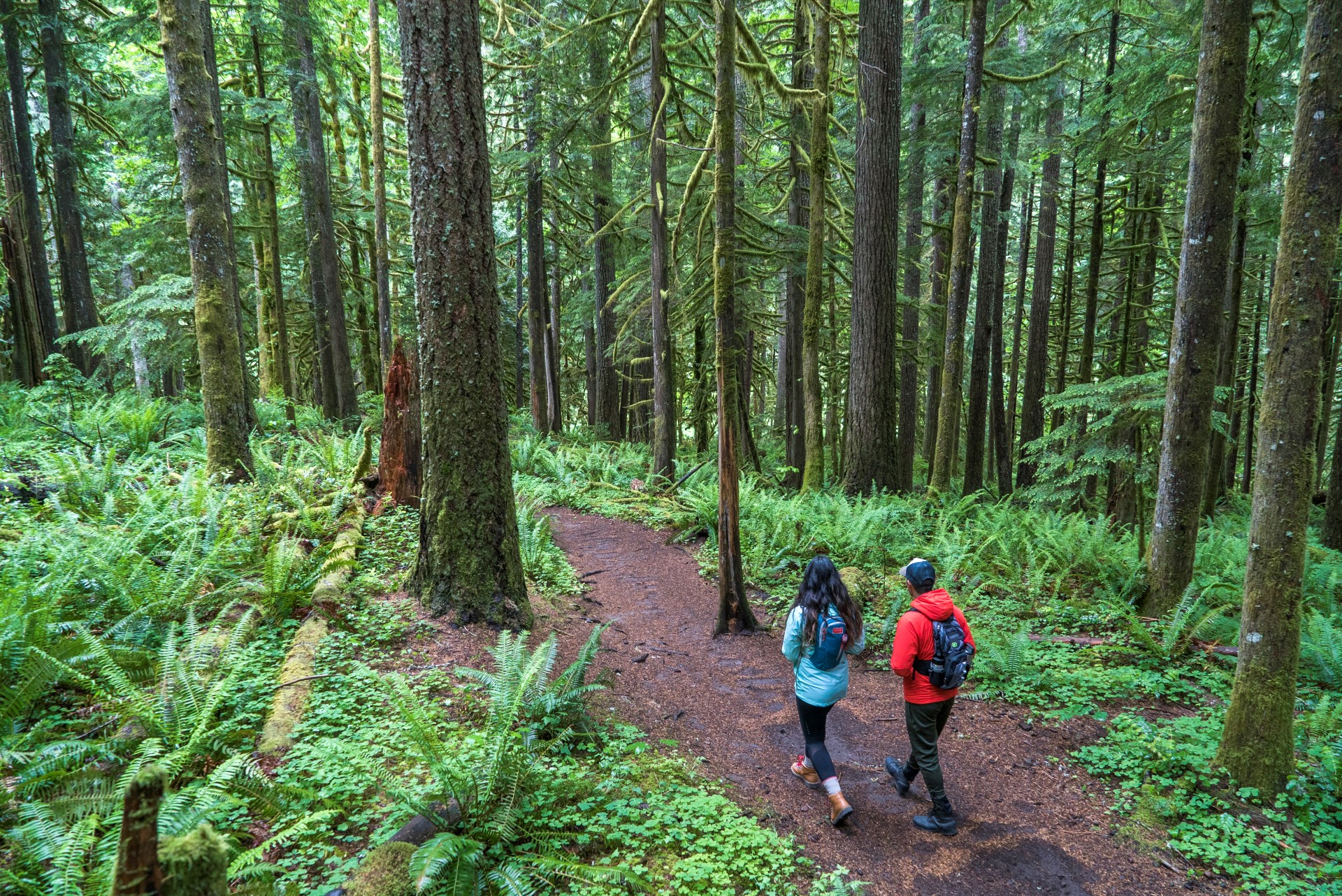 Mount Hood National Forest. Foto: Travel Oregon | hood-gorge.com 