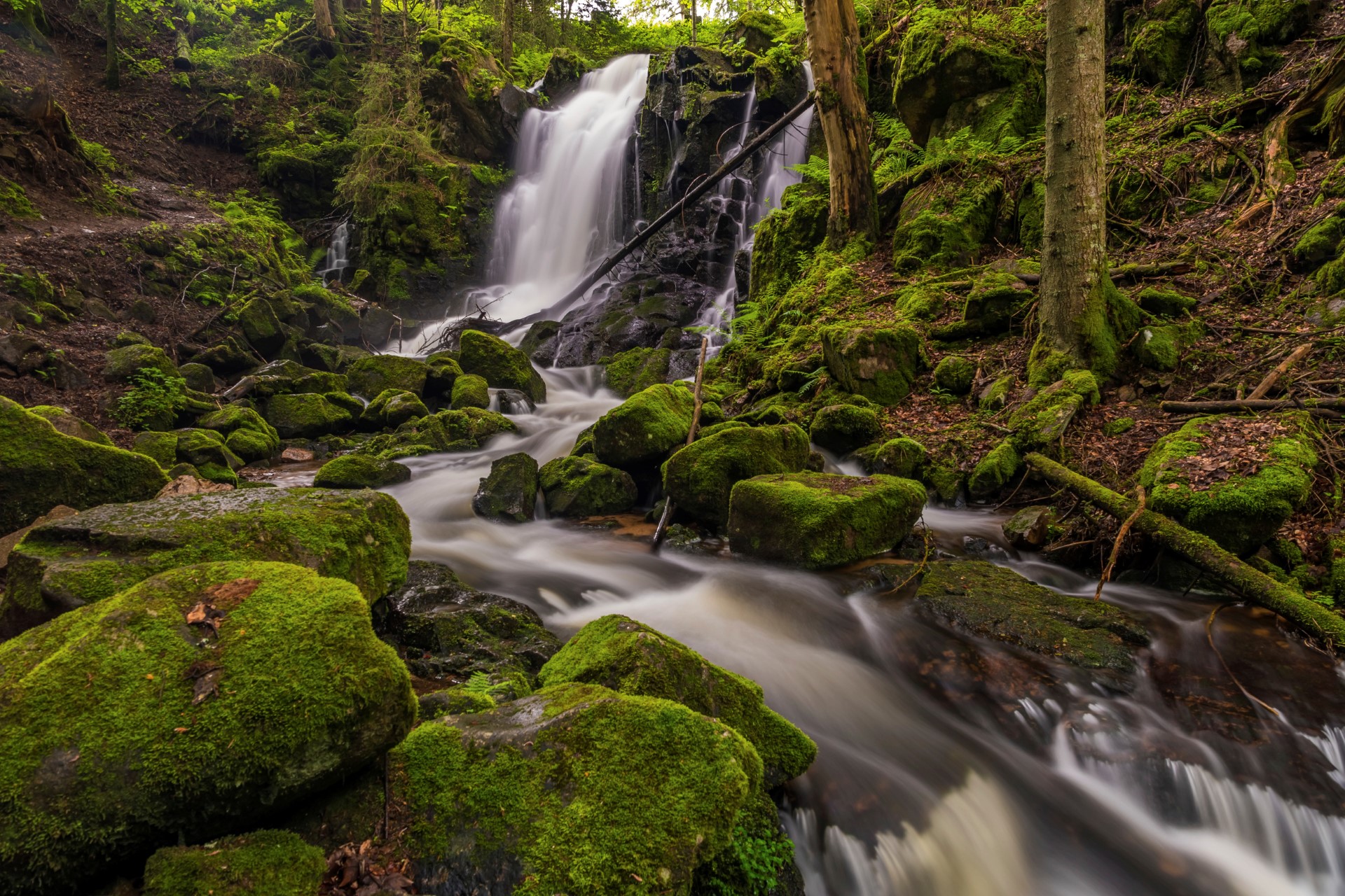 Windbergwasserfall in St. Blasien. Foto: Hochschwarzwald Tourismus GmbH 