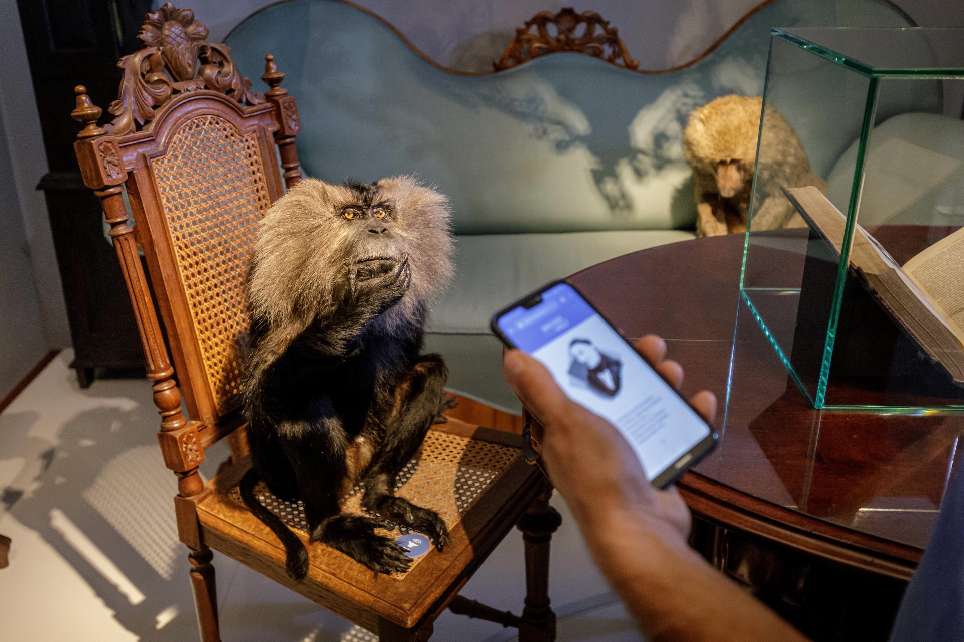 Museum „Brehms Welt – Tiere und Menschen“ in Renthendorf. Foto: Roland Horn Museum „Brehms Welt – Tiere und Menschen“ in Renthendorf. Foto: Roland Horn