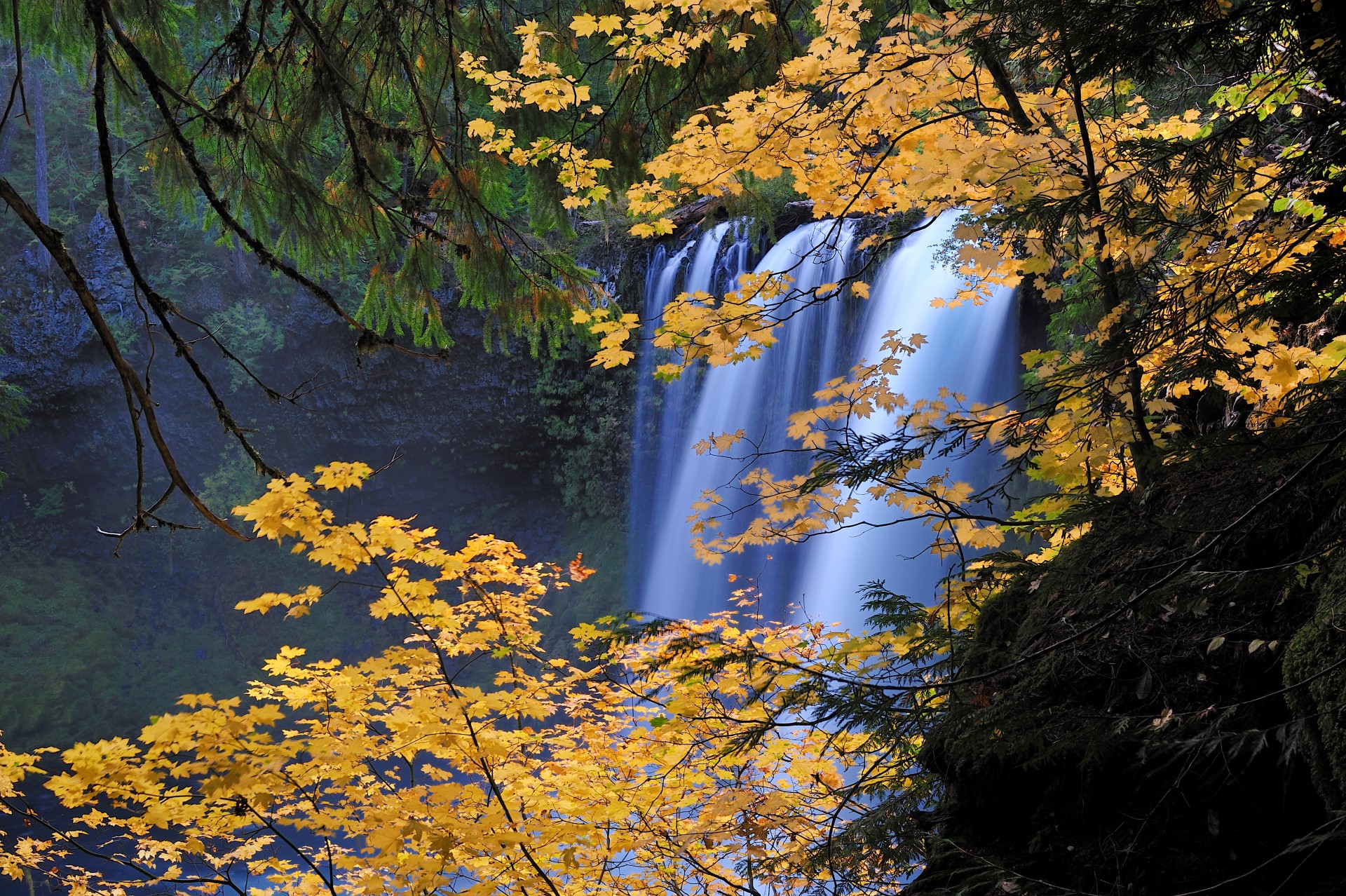 Sahalie Falls. Foto: Travel Oregon | Christian Heeb Sahalie Falls. Foto: Travel Oregon | Christian Heeb