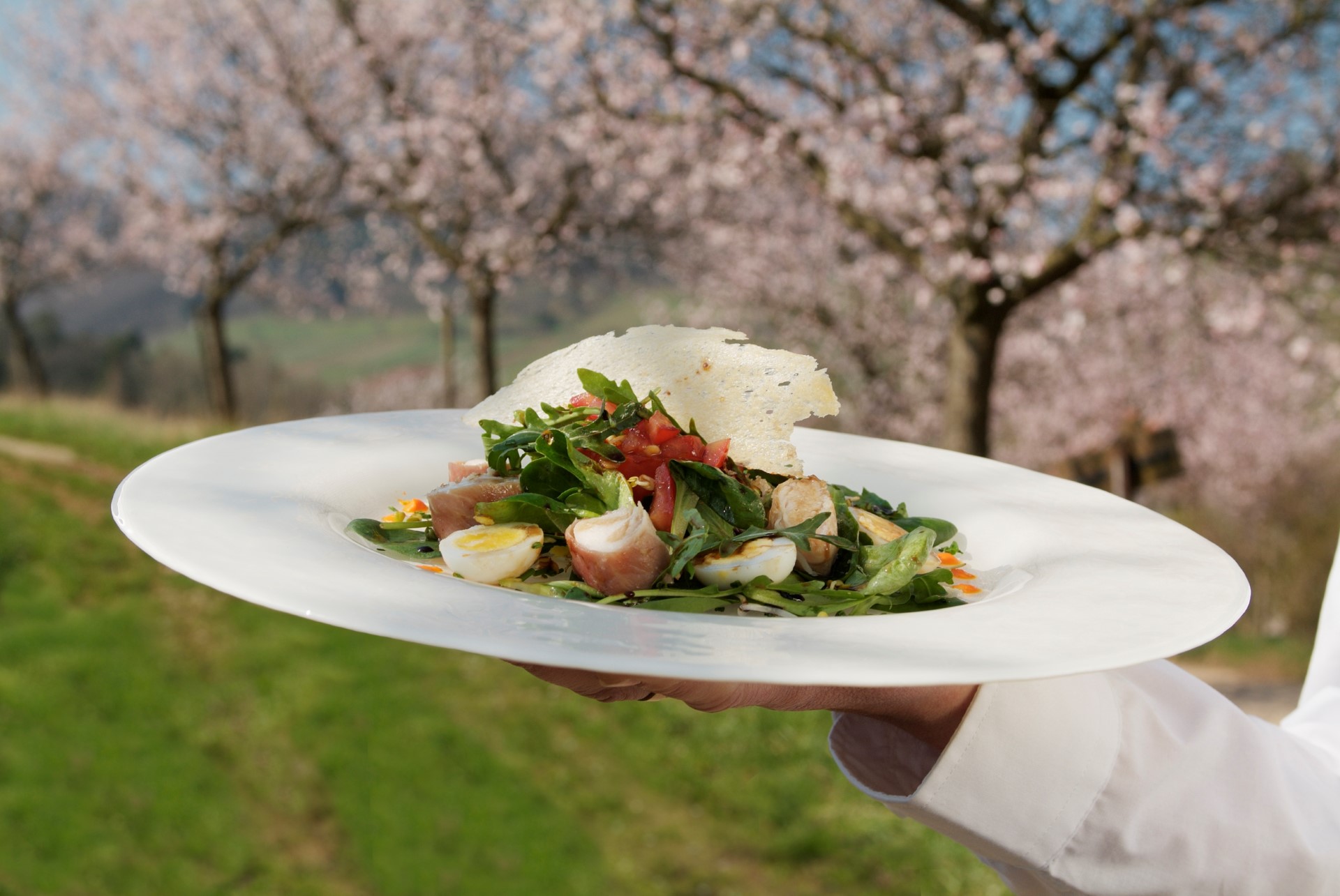 Köstlicher Frühling. Foto: Ralf Ziegler | Bilderarchiv Südliche Weinstrasse e.V. Köstlicher Frühling. Foto: Ralf Ziegler | Bilderarchiv Südliche Weinstrasse e.V.