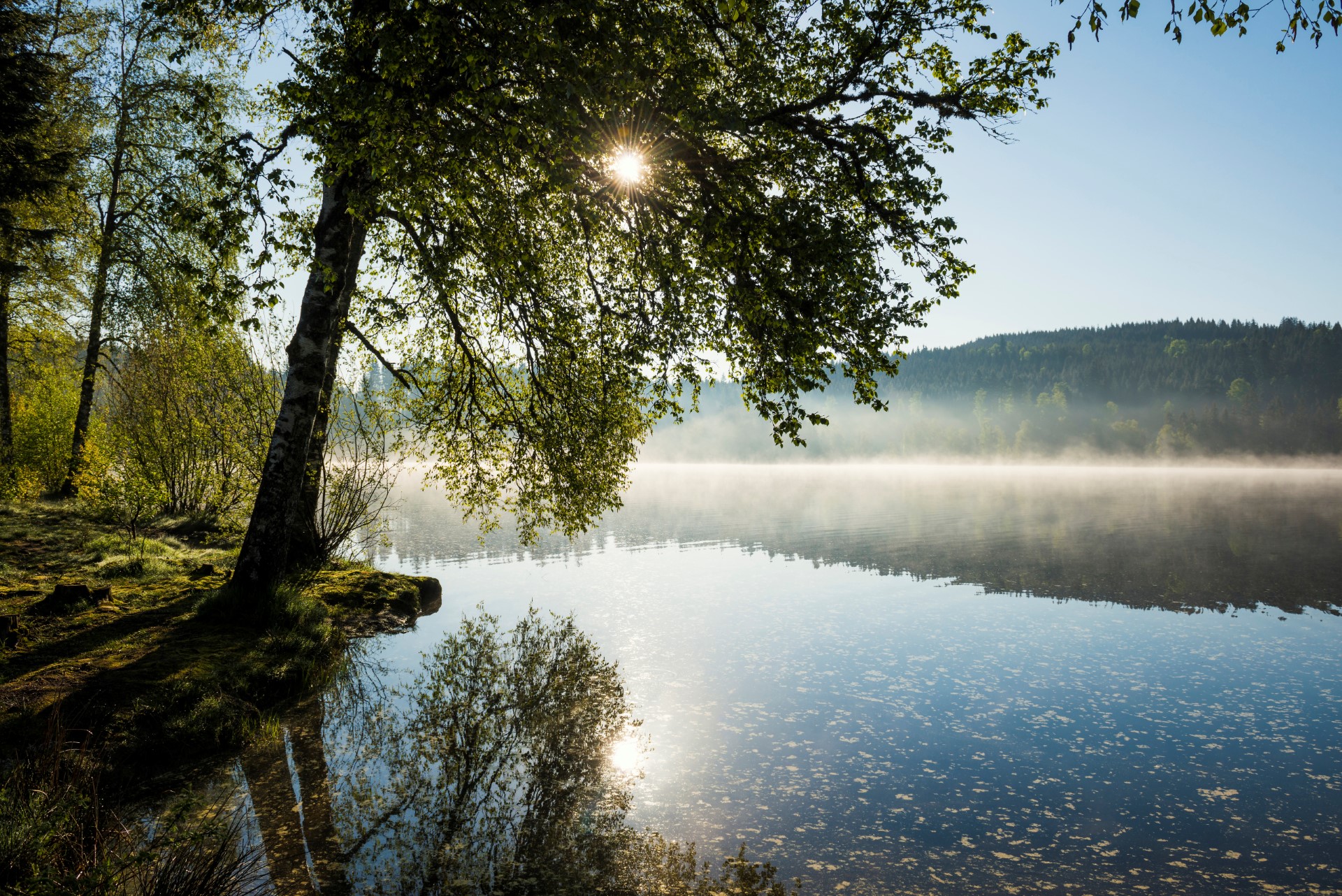 Windgfällweiher. Foto: Hochschwarzwald Tourismus GmbH 