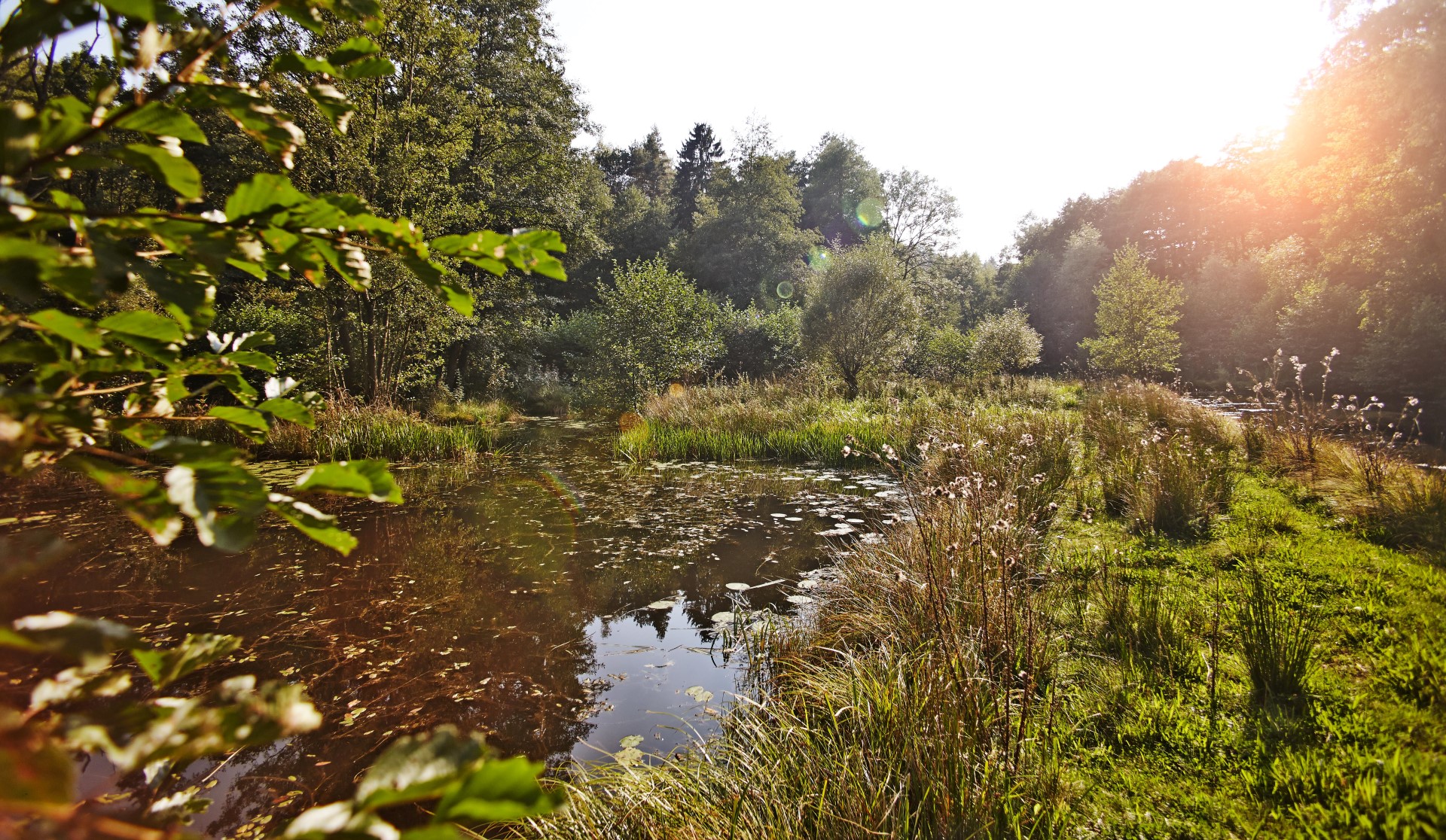 Zeitzgrund. Foto: Thüringer Tourismusverband Jena-Saale-Holzland e. V. | Jens Hauspurg