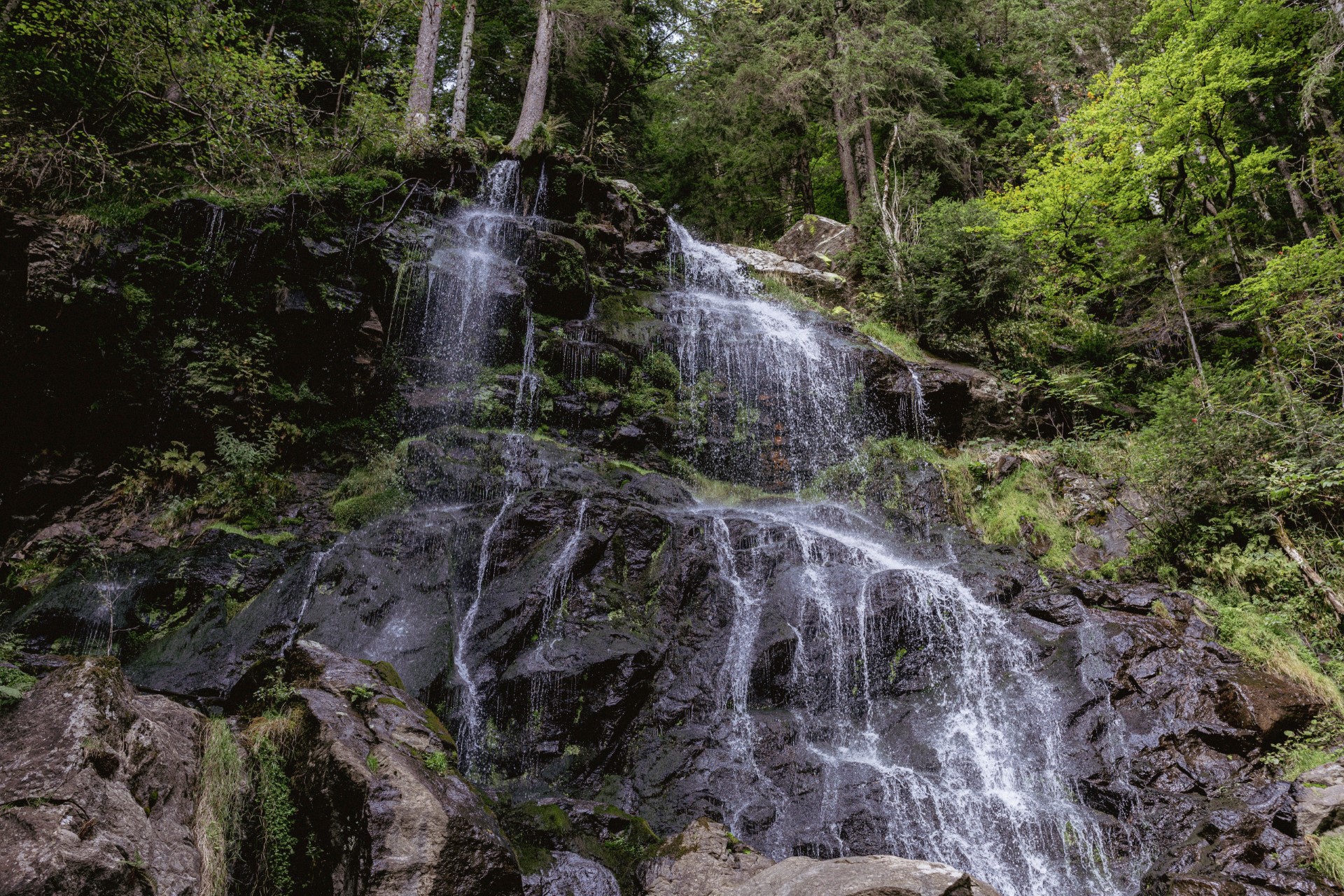 Zweribach Wasserfall. Foto: Hochschwarzwald Tourismus GmbH 