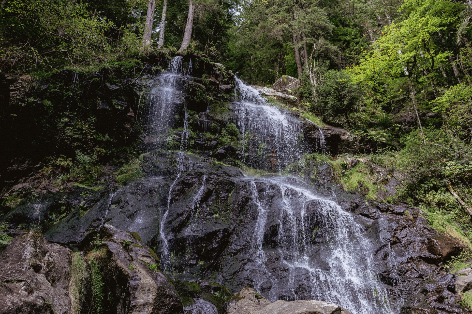 Zweribach Wasserfall. Foto: Hochschwarzwald Tourismus GmbH Zweribach Wasserfall. Foto: Hochschwarzwald Tourismus GmbH