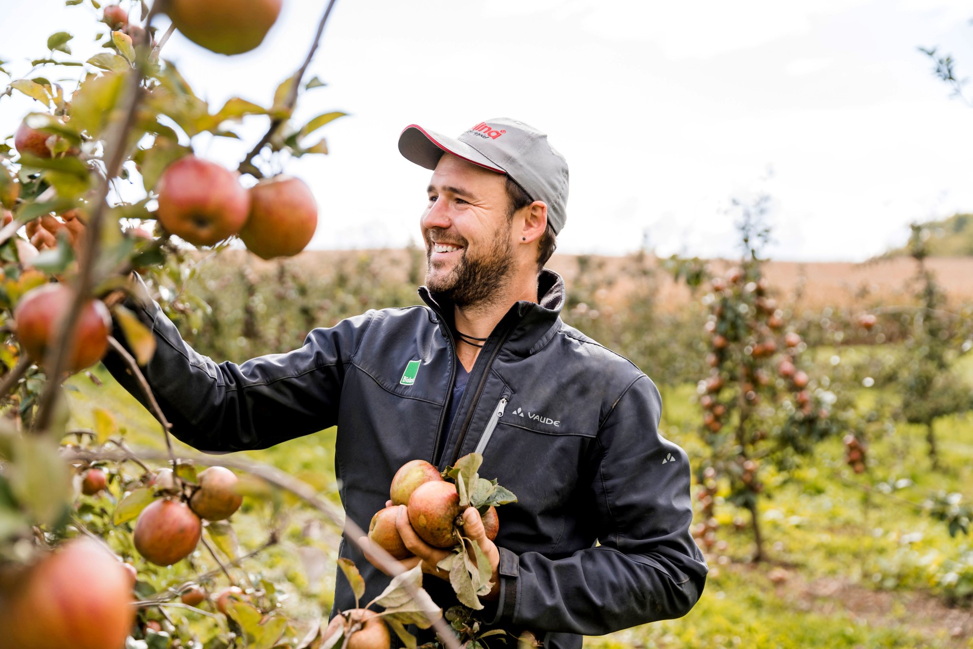 Während der Apfelwochen können Urlauber den Obstbauern bei Führungen über die Schulter schauen. Foto: djd | Deutsche Bodensee Tourismus | Lisa Dünser Während der Apfelwochen können Urlauber den Obstbauern bei Führungen über die Schulter schauen. Foto: djd | Deutsche Bodensee Tourismus | Lisa Dünser