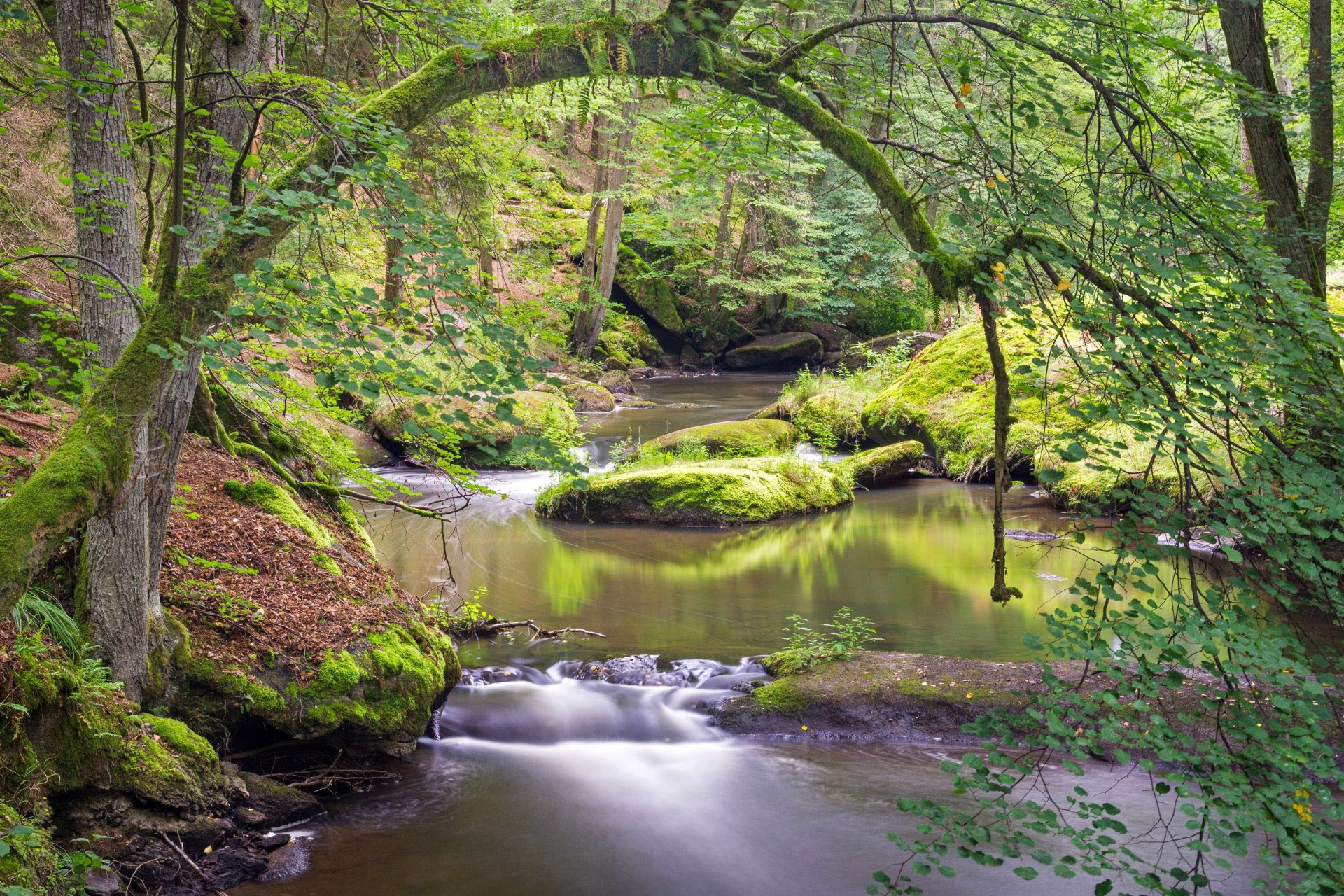 Das märchenhafte und wildromantische Waldnaabtal. Foto: djd | Tourismuszentrum Oberpfälzer Wald | Matthias Kunz
