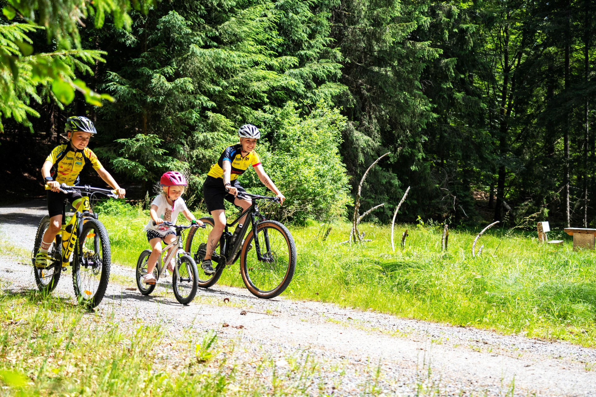 Zertifizierte Radwege führen Freunde des Radsports durch die Region. Foto: djd | Ferienregion Nationalpark Bayerischer Wald | Woidlife Photography Zertifizierte Radwege führen Freunde des Radsports durch die Region. Foto: djd | Ferienregion Nationalpark Bayerischer Wald | Woidlife Photography