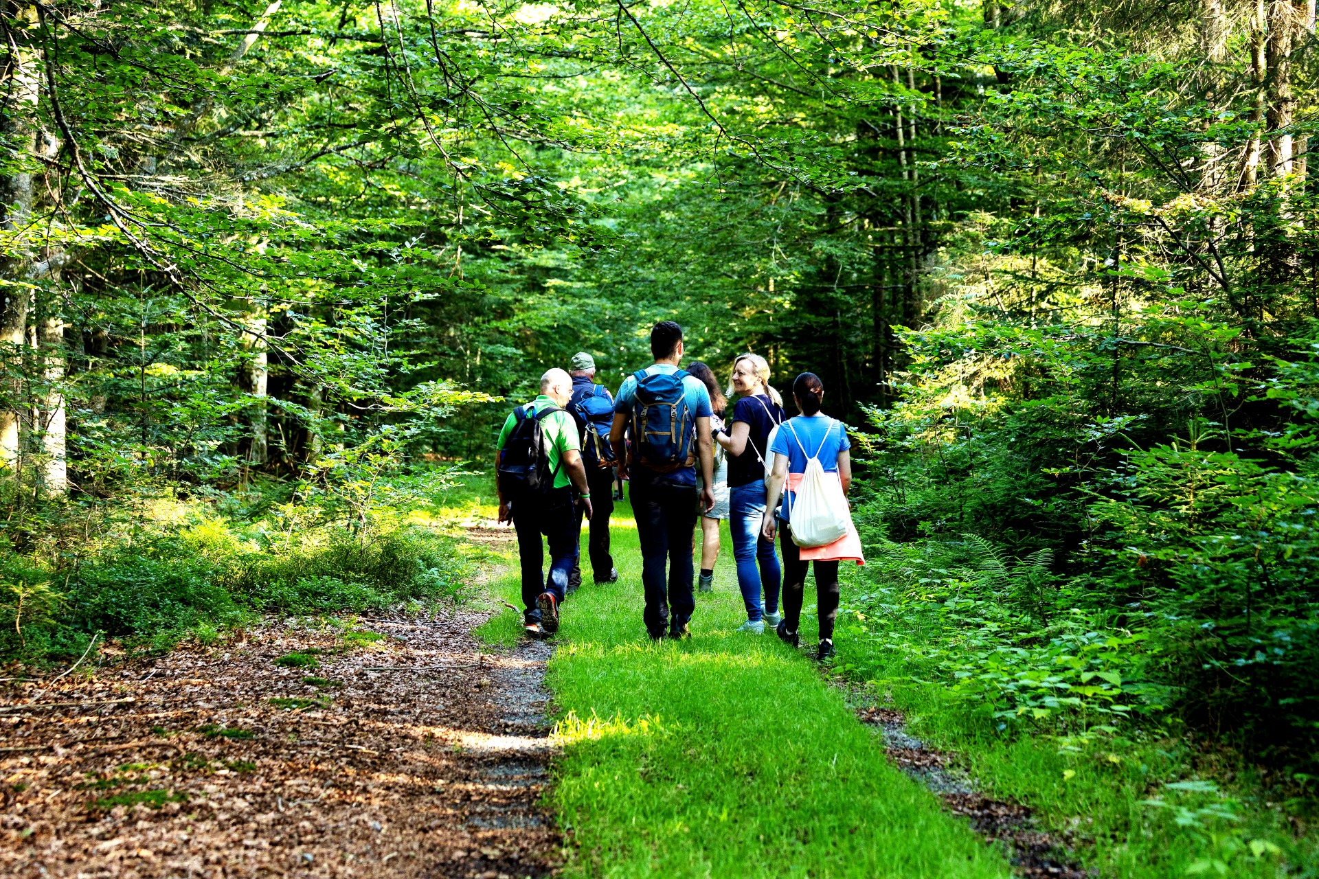 Für Anfänger wie Profis gibt es ausgeschilderte Rund- und Zielwanderwege. Foto: djd | Ferienregion Nationalpark Bayerischer Wald | Stephan Wühr Für Anfänger wie Profis gibt es ausgeschilderte Rund- und Zielwanderwege. Foto: djd | Ferienregion Nationalpark Bayerischer Wald | Stephan Wühr