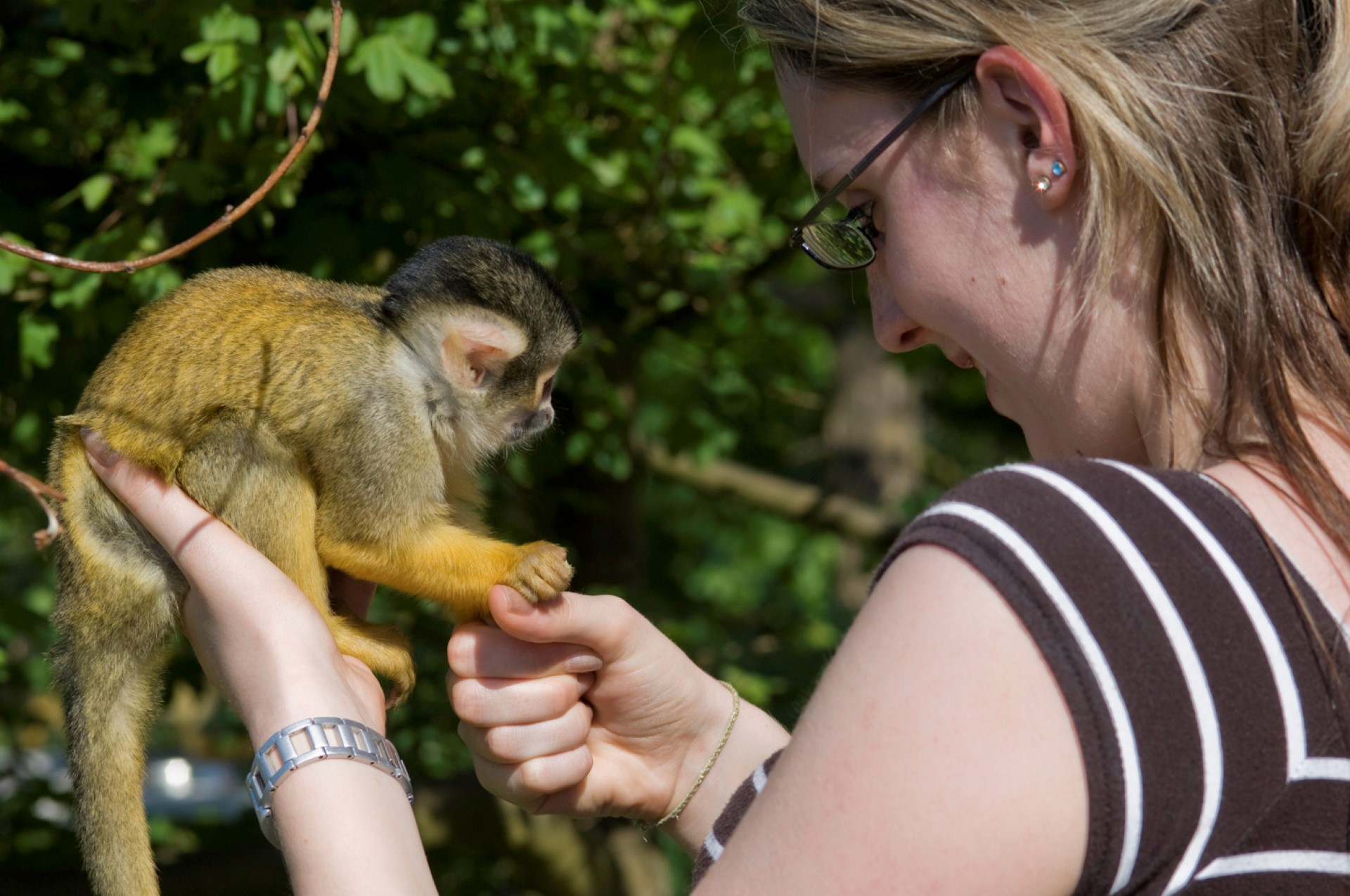 Im Affen- und Vogelpark. Photo Credit: Klaus Stange | www.avttention.de