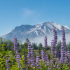 Mount St Helens National Monument