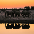 Etosha National Park (Namibia)