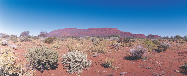 Burringurrah (Mount Augustus): Der größte Monolith der Welt