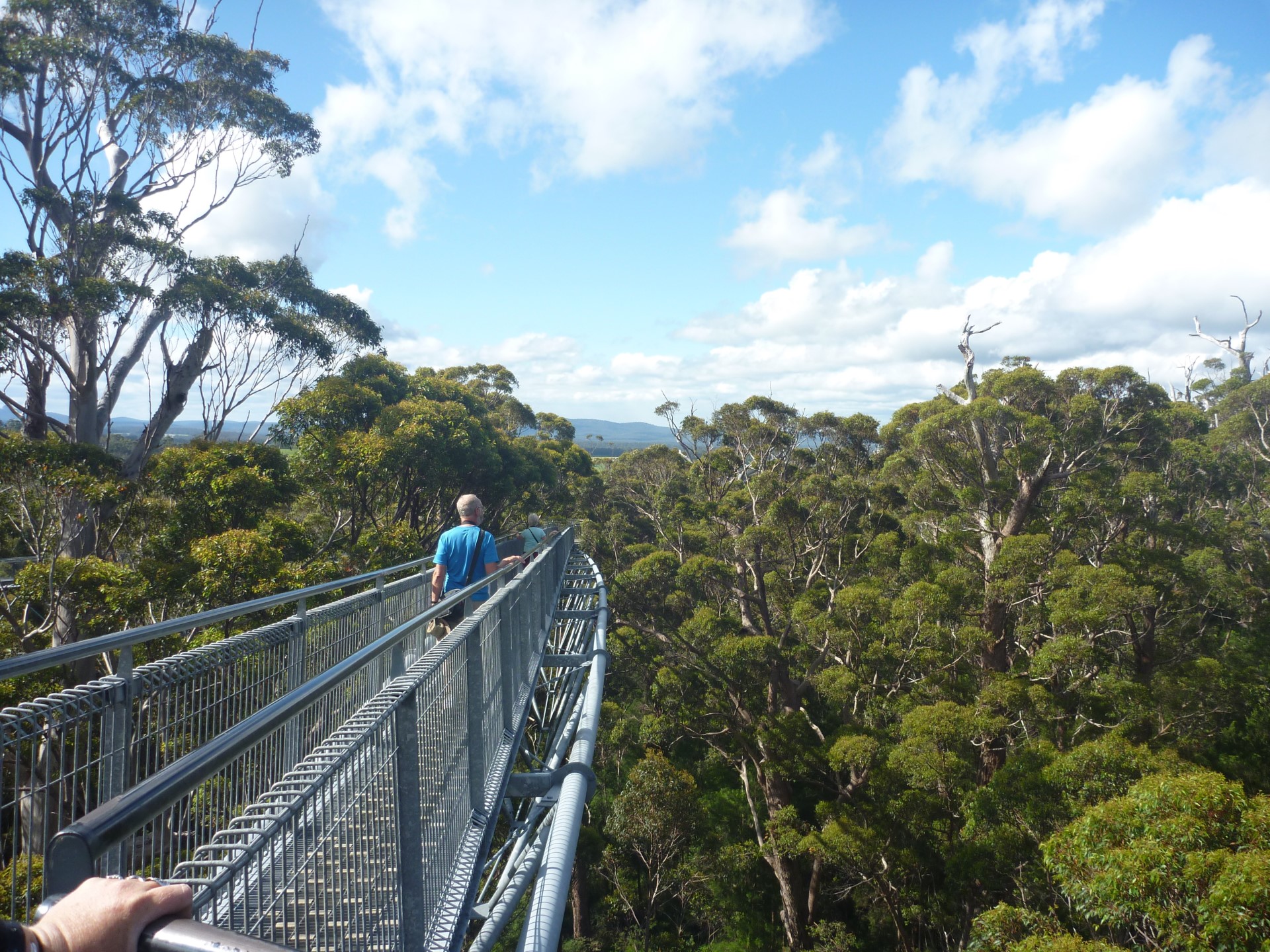 Australien: Boranup Karri Forest – Der gigantische Märchenwald