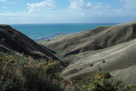 Mahia Peninsula: ein Kiwi-Ferienparadies