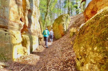 Ostbayern: Wandern als "Wohlfühlrezept" gegen den Herbst-Blues