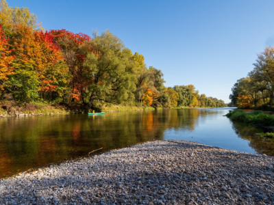 Isarauen: Grünes Idyll entlang der Mittleren Isar