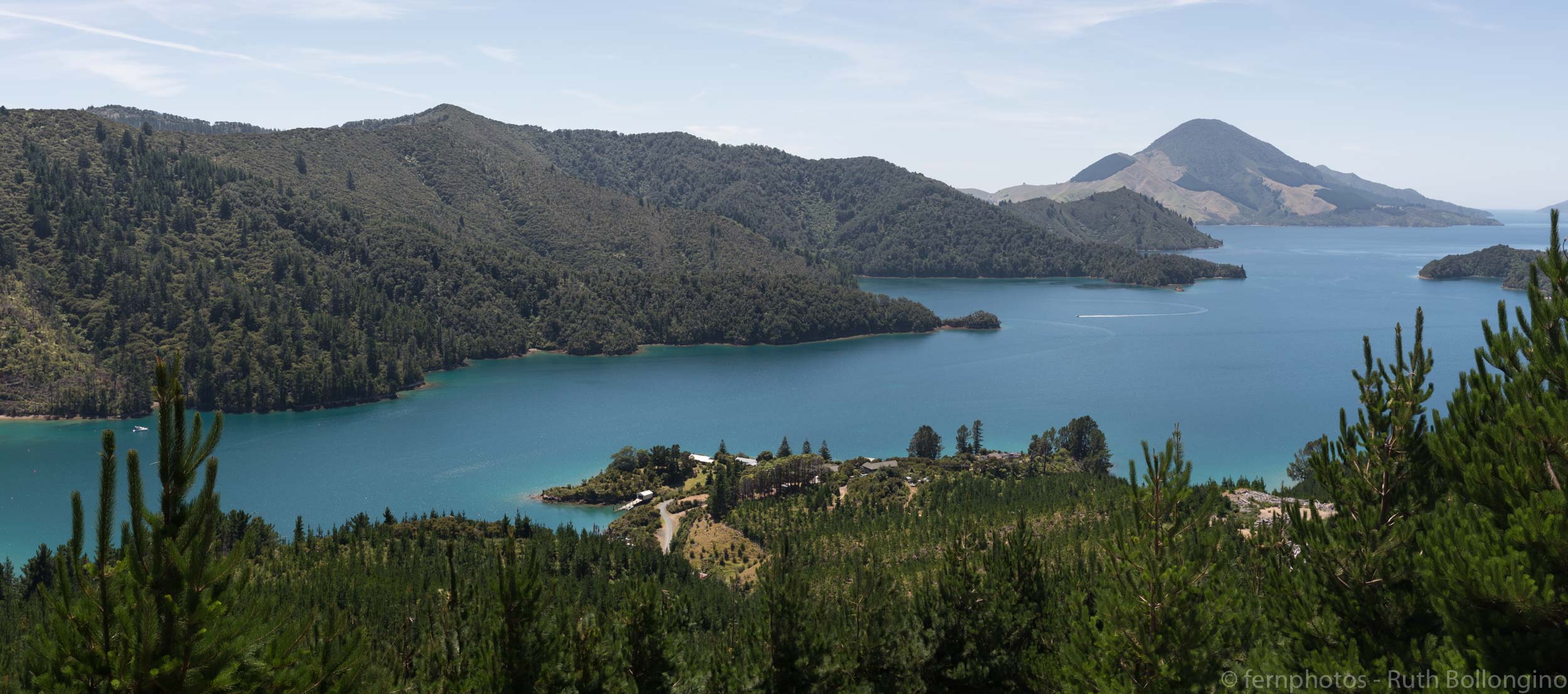 Elaine Bay: Marlborough Sounds, wie sie sein sollten