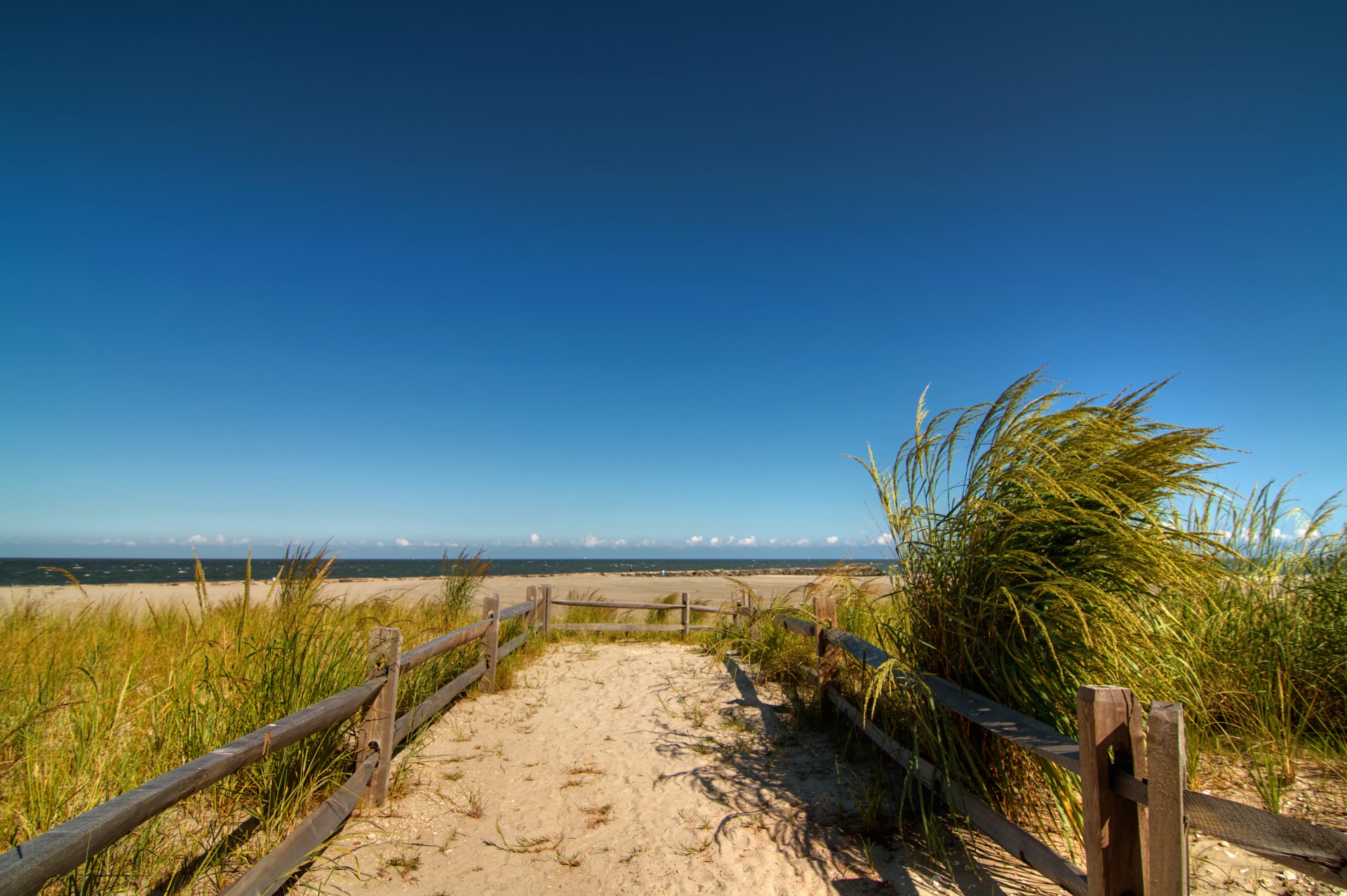 USA: New Jersey im Sommer 2024 – Zwischen Natur und Strand