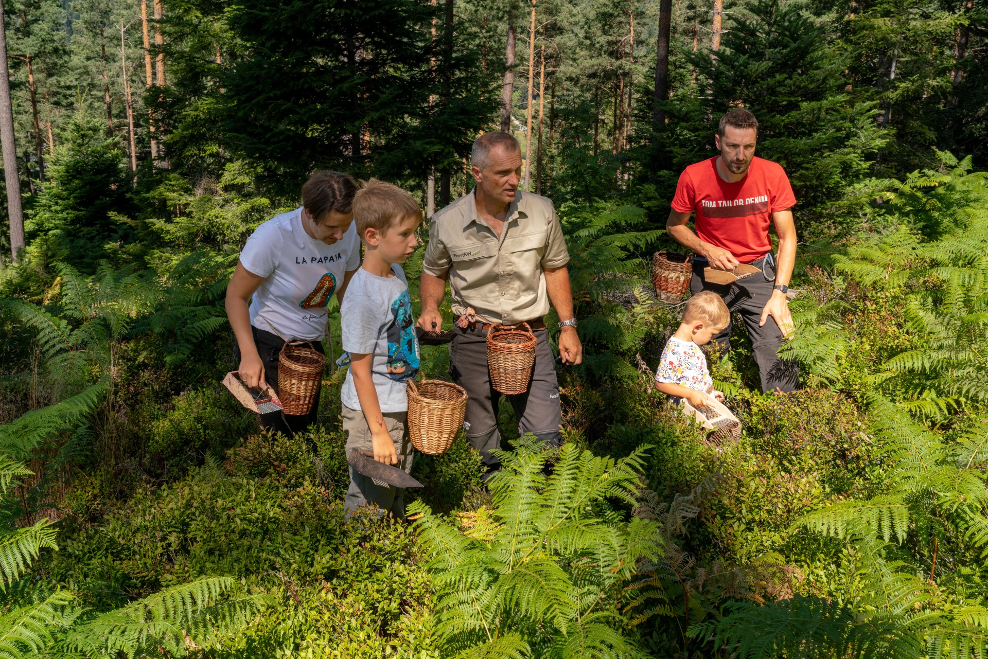 Schwarzwald: Wanderung ins Blaue auf dem Heidelbeerweg