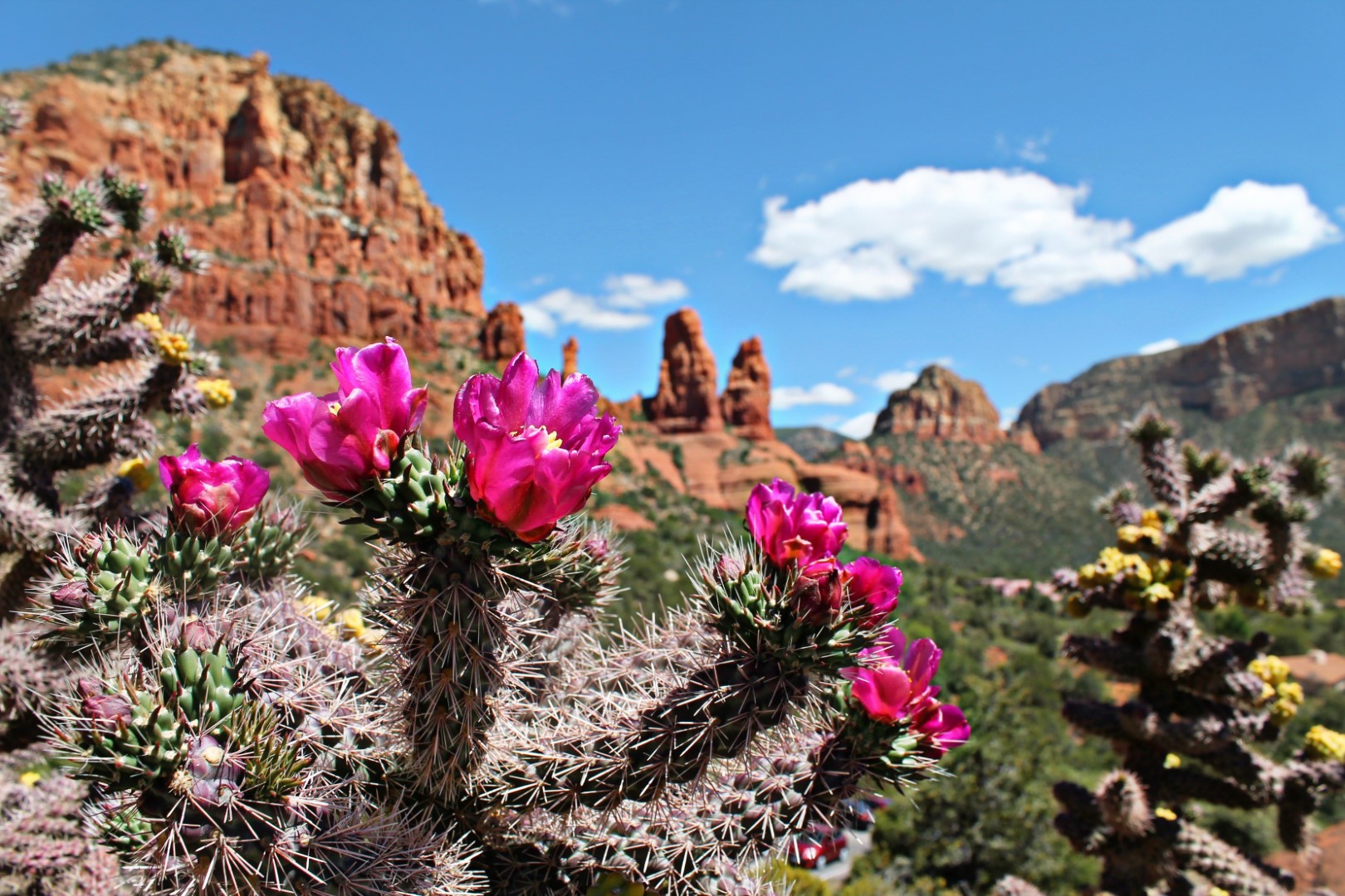 Arizona: Frühlingsgefühle im Wilden Westen