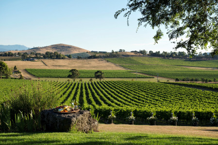 Australien: Fünf traumhafte Weinregionen in Victoria