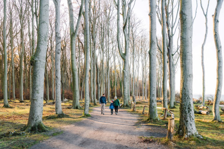 Mecklenburg-Vorpommern: Winter-Wandertipps für Familien