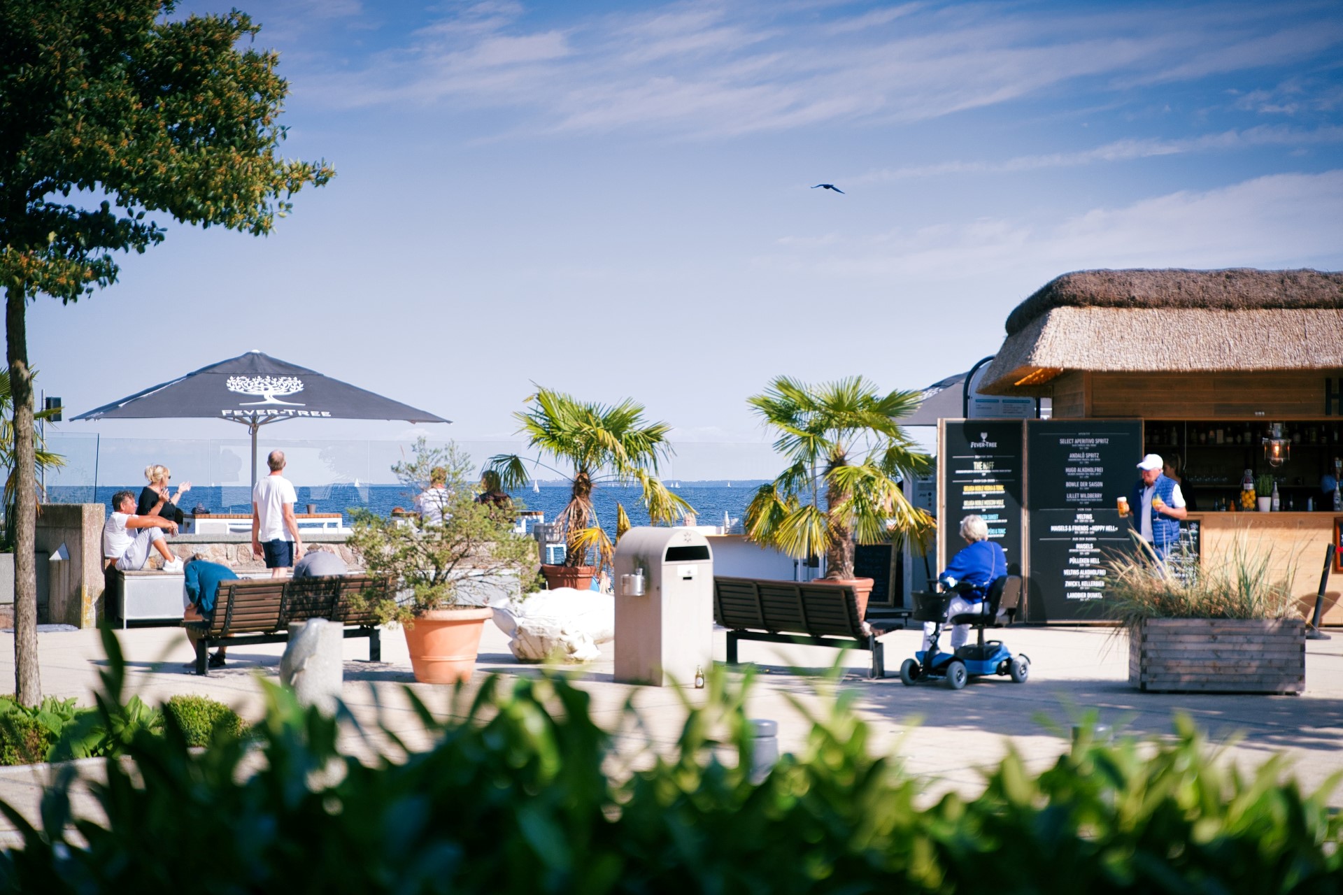 Ostsee: Kreative Fischbrötchen und authentisches Küstenerlebnis