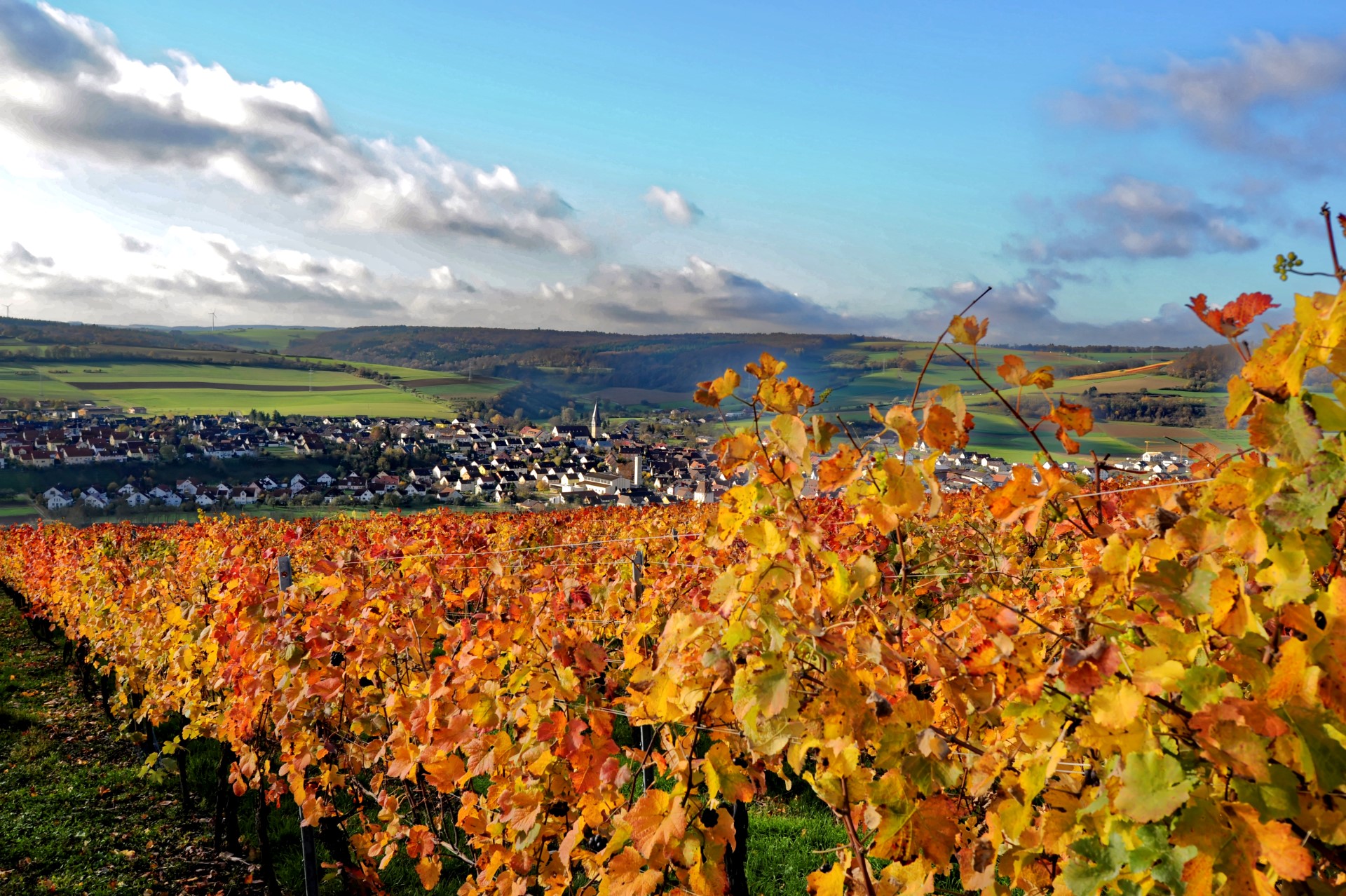 Bad Mergentheim: „Goldener Herbst“ wird historisch und kulinarisch wild