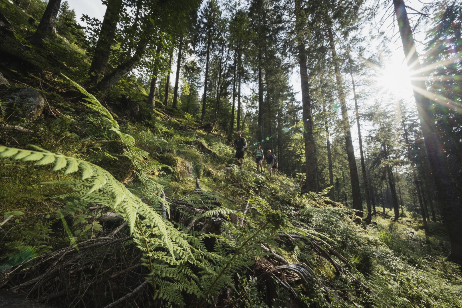 Baden-Württemberg: Auszeit im Grünen