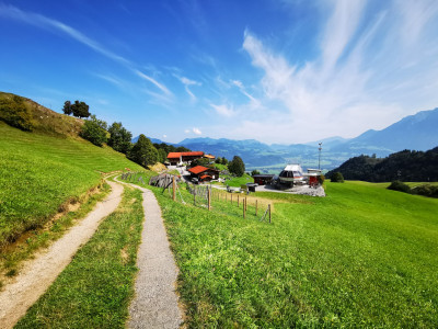 Oberaudorf: Auf der Suche nach dem Tatzelwurm