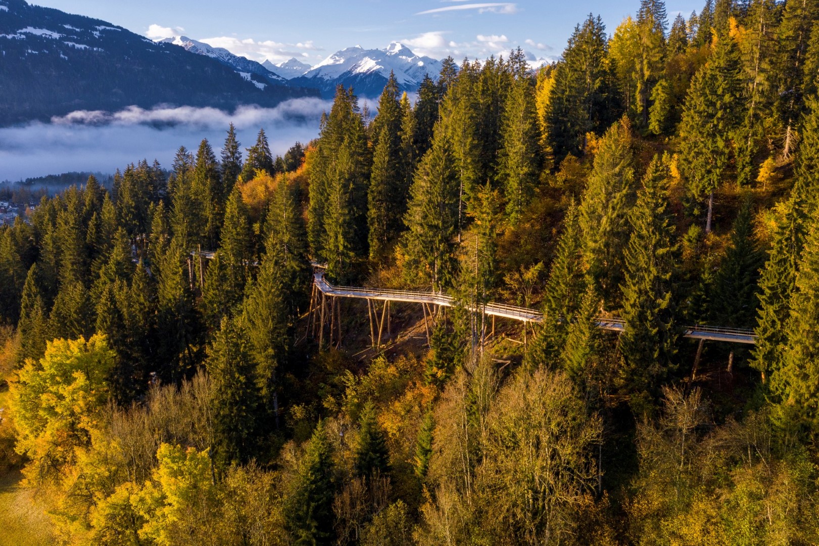 Schweiz: Längster Baumwipfelpfad der Welt in Laax