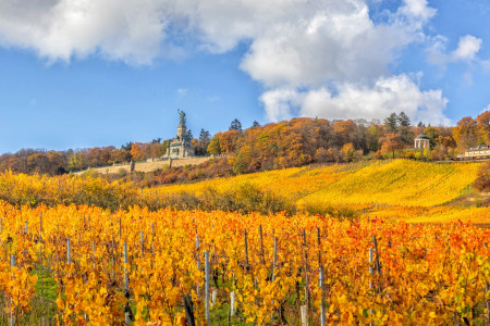 In Rüdesheim und Assmannshausen am Rhein wird der Herbst 2021 bunt