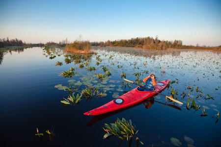 USA: Georgia lässt seine Natur und Geschichte hochleben