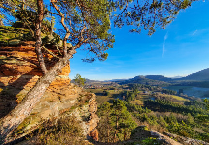 Pfalz und Pfälzerwald: Burgruine Drachenfels und Sprinzelfelsen