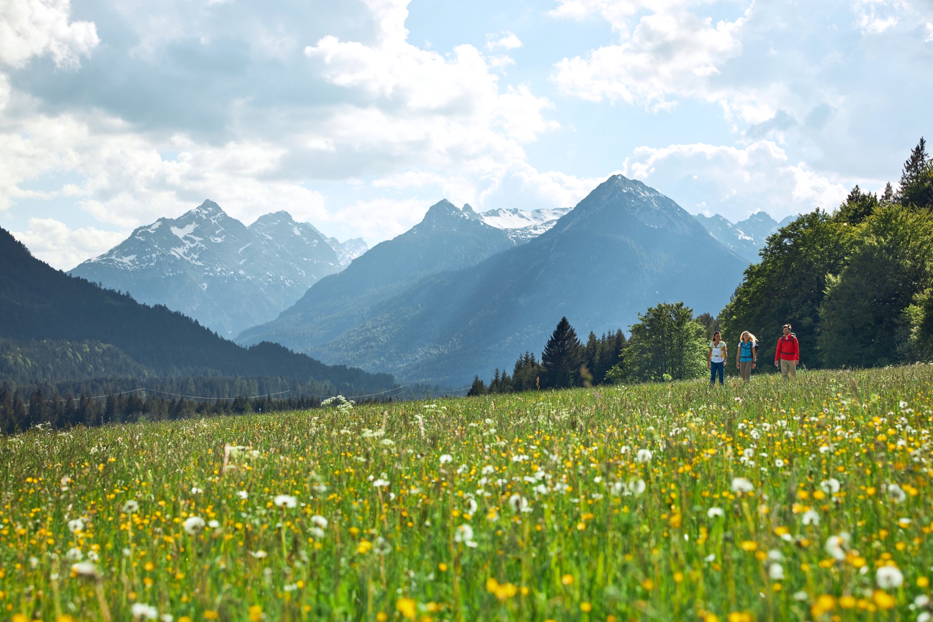 Naturerfahrung auf dem Lechweg: Viele Gesichter des Weitwanderweges  