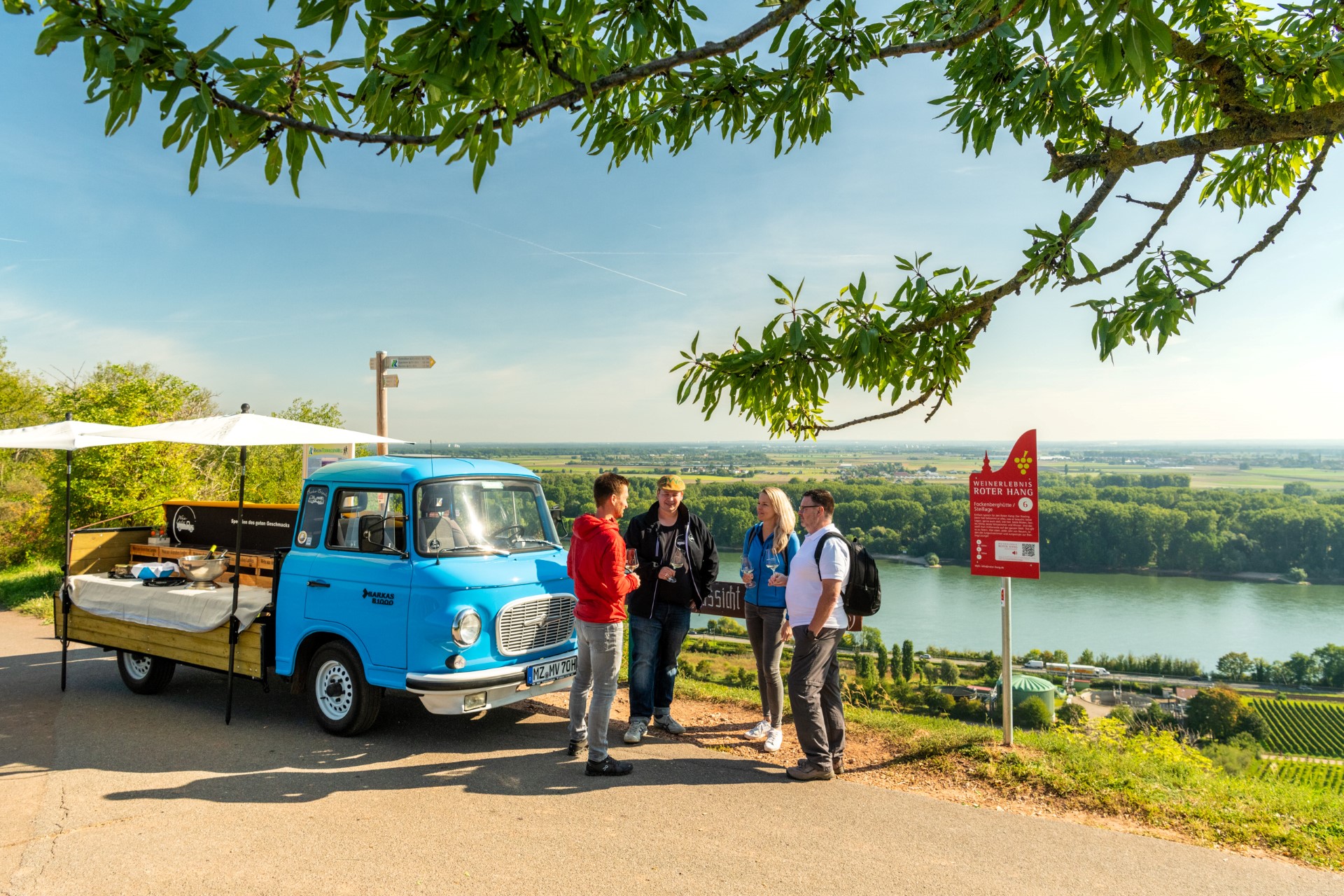 Rheinhessen: Beim Erlebnis-Wandern dem Wein auf der Spur