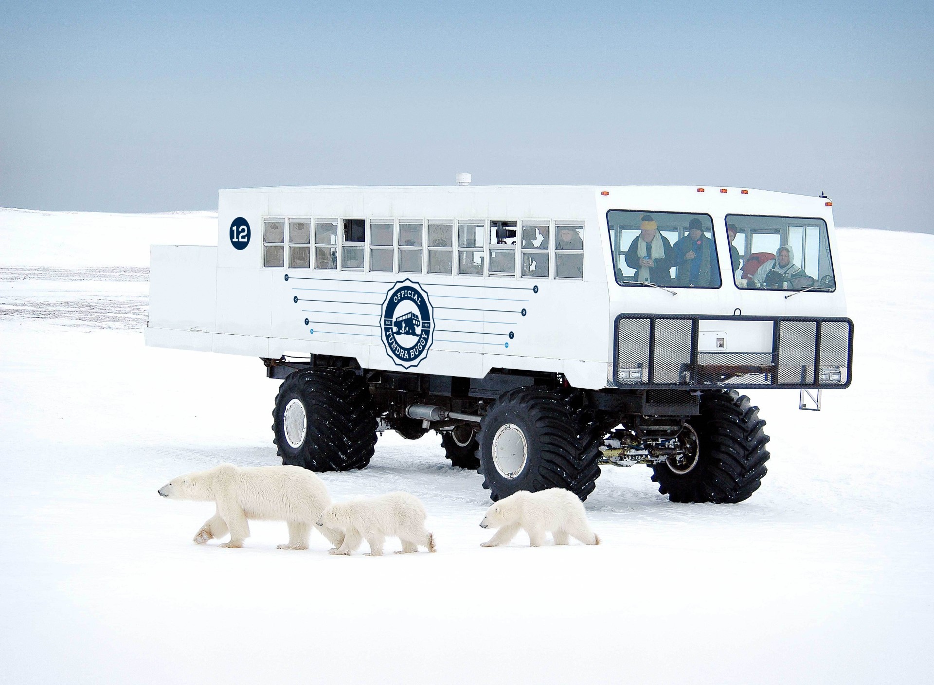 Manitobas: Eisbärenbeobachtung im neuen E-Tundra Buggy
