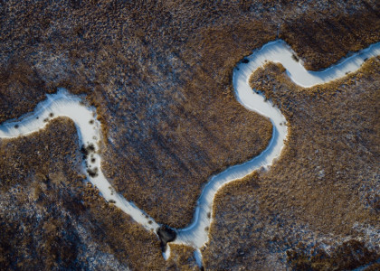 So schmeckt Lappland: Neue Food-Kampagne mit arktischer Küche 