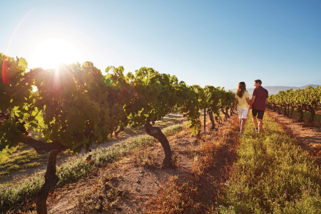 Queensland: Weingut-Hopping 