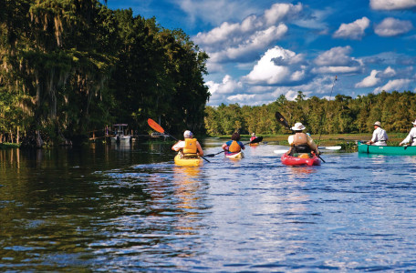 Tarzans Schatz und die Heimat der Meerjungfrauen: Die Geheimnisse von Floridas Quellflüssen