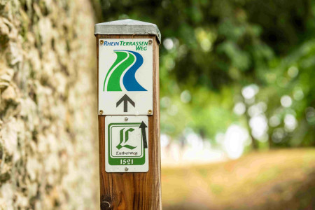 Rheinhessen: Unterwegs auf dem Lutherweg 