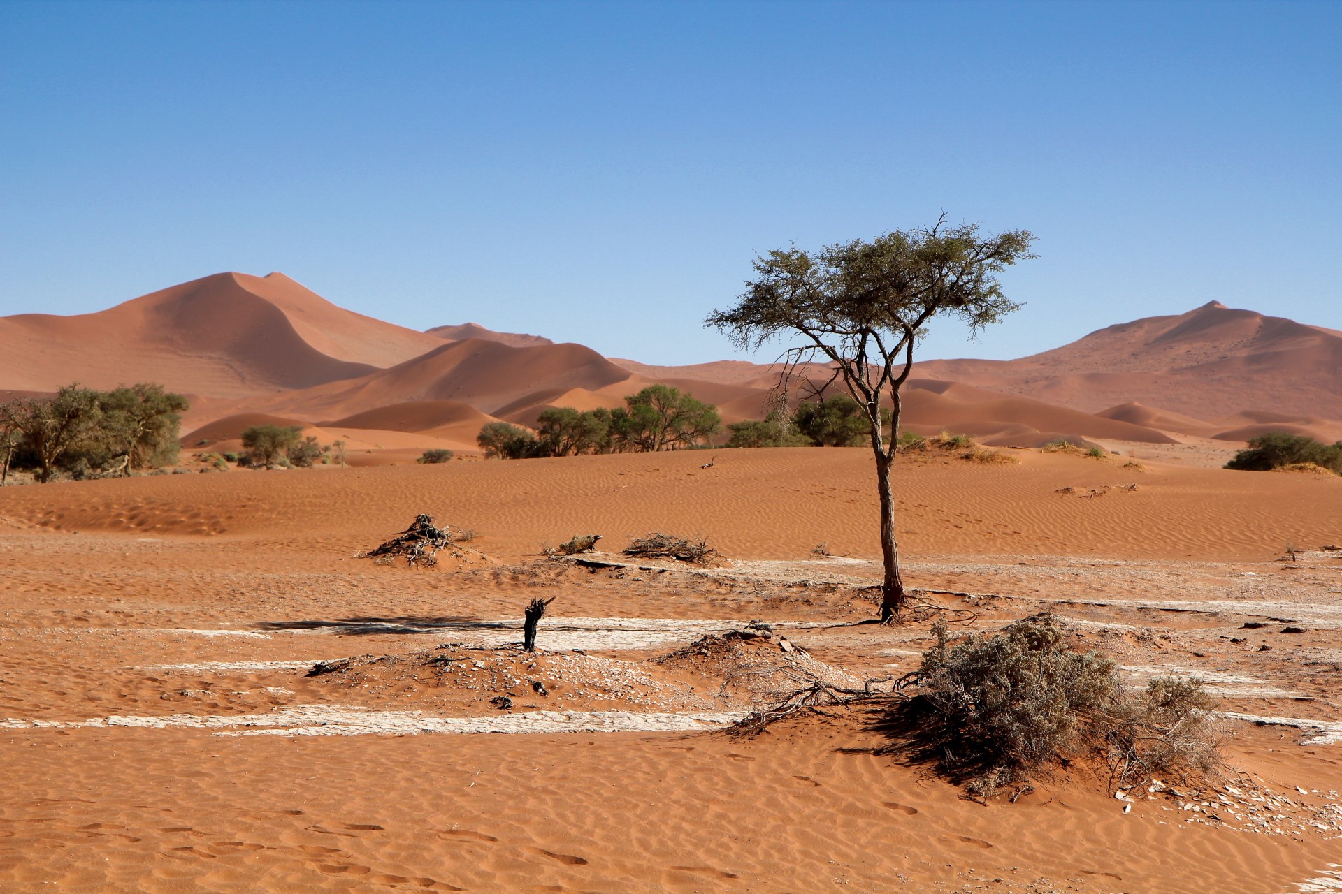 RKI streicht Namibia als Virusvariantengebiet