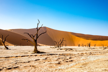 Namibia ist kein Hochrisikogebiet mehr