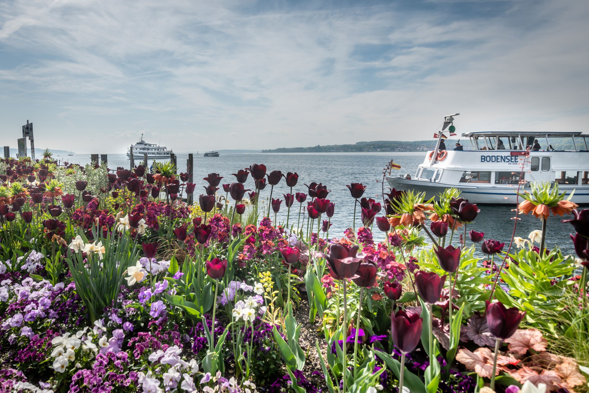 Bodensee: Blütenreiches Frühlingserwachen