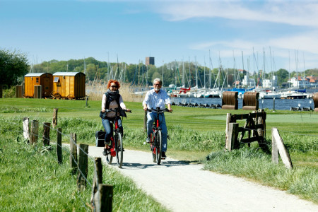 Ammerland: Die reizvolle Parklandschaft per Fahrrad erkunden