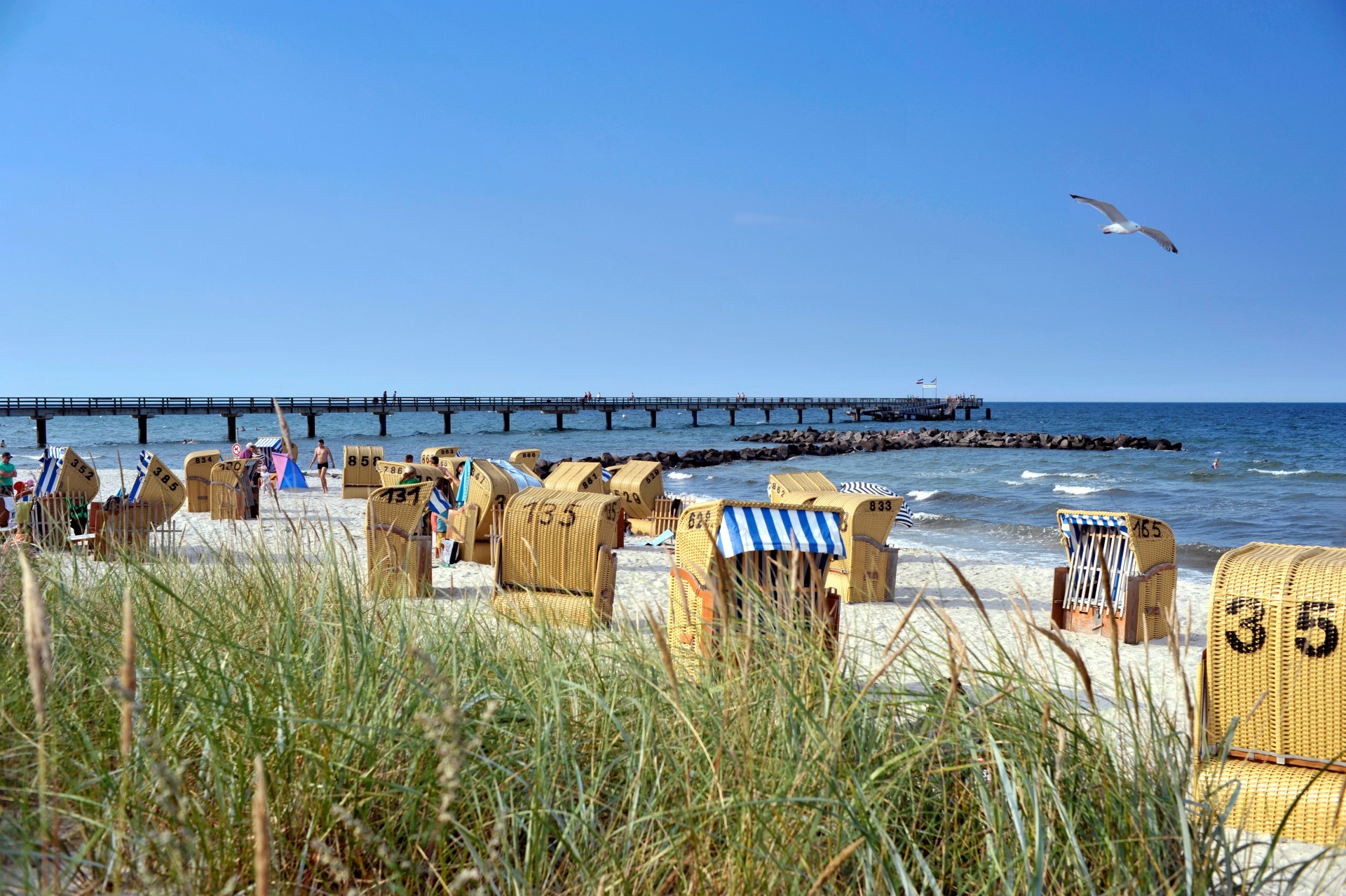 Ostsee Schleswig-Holstein: Familienurlaub in der Probstei