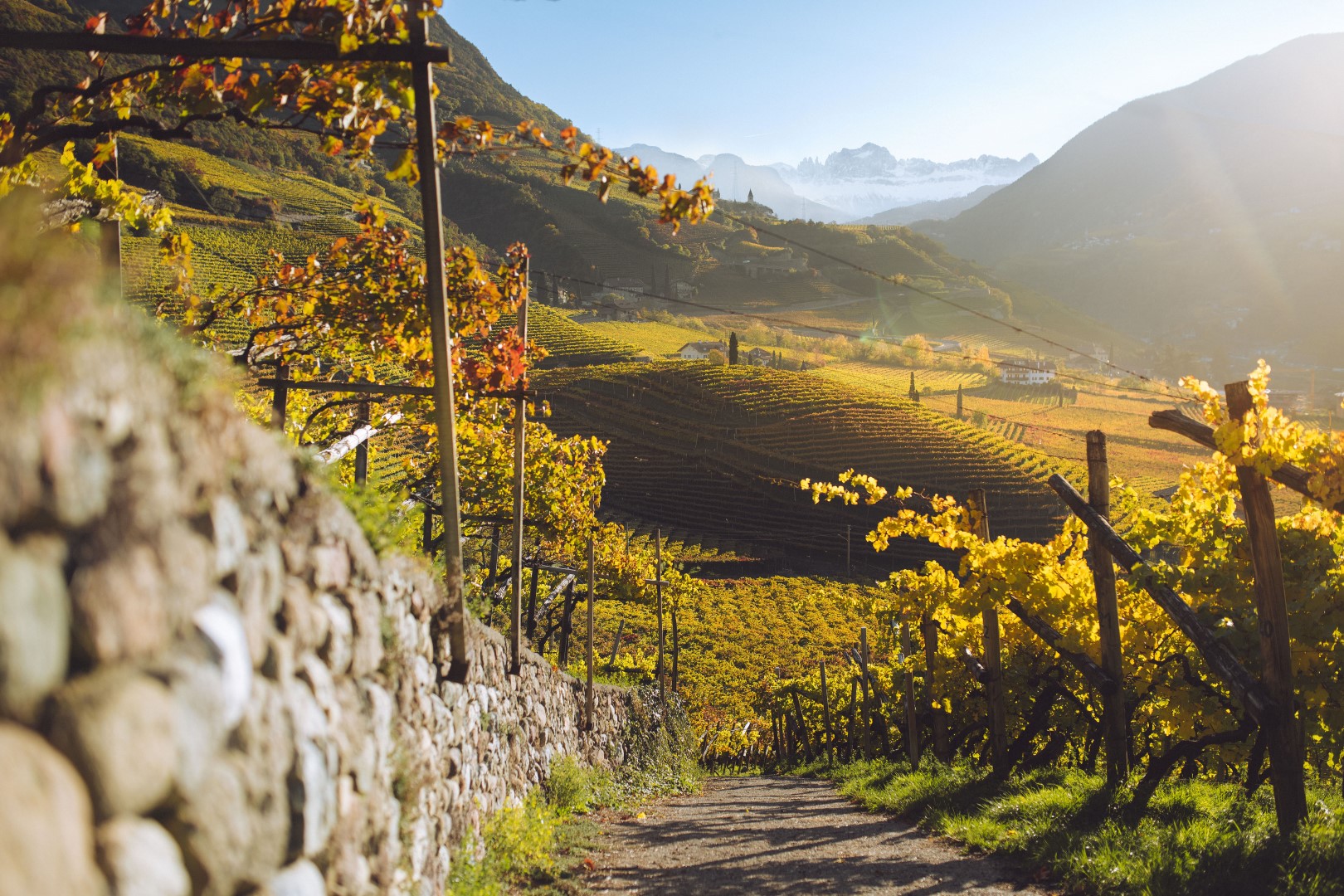 Südtirol: Herbstwanderungen und Weinfeste