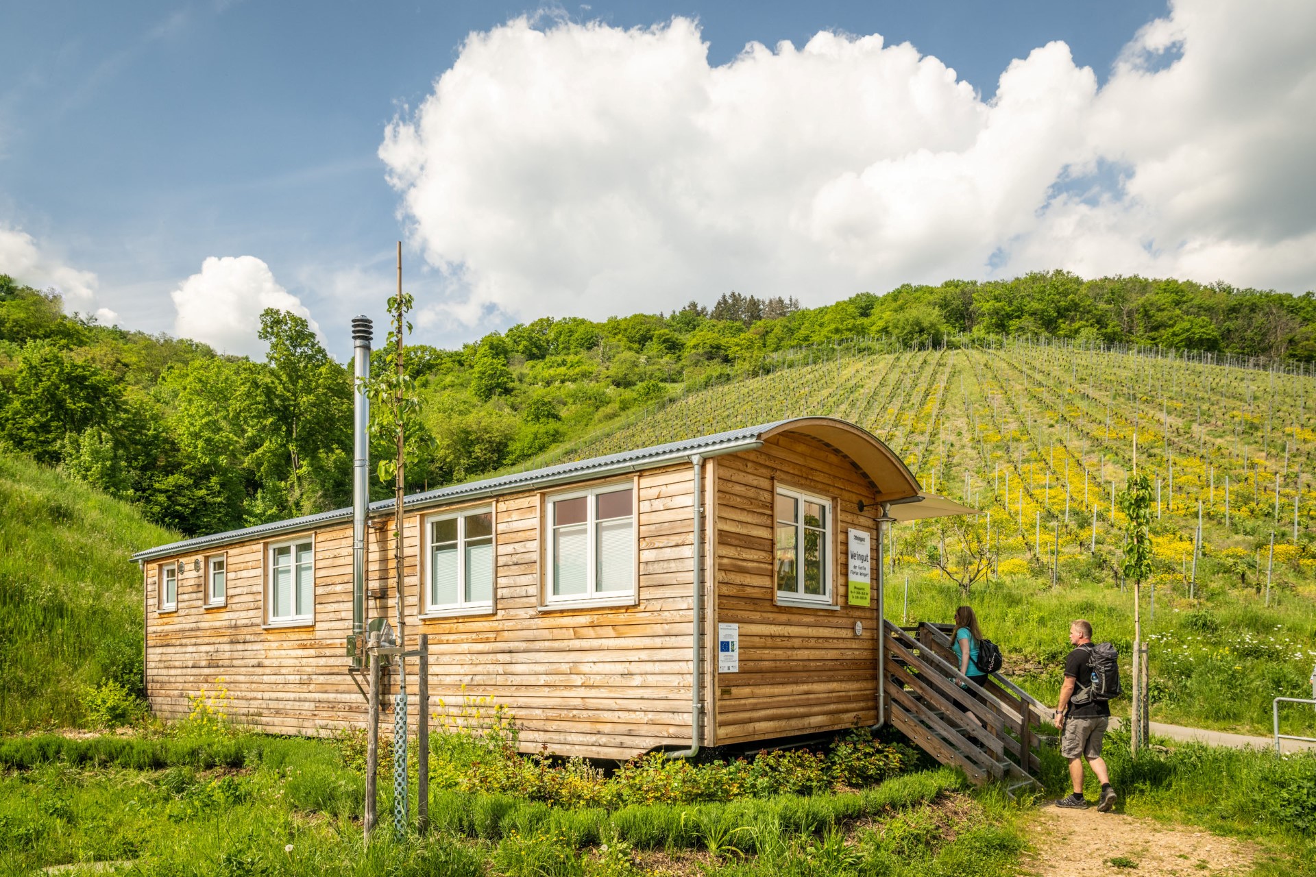 Rheinbogen: In der Weinbergschaukel die Seele baumeln lassen